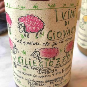 Vivi Di Giovanni Ciliegiozzo 2018