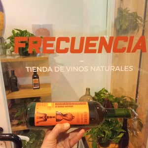 Vivienne Vino Bianco - Signoraginni - giorgia-salierno -2021