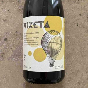 Vizeta - Il Moralizzatore - Enrico Frisone & Andrea Dalla Grana -2021