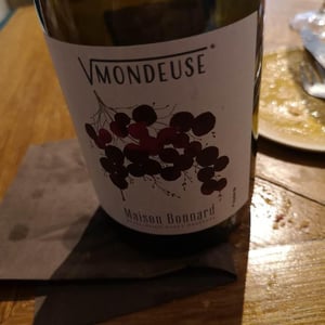 Racine de Mondeuse - Maison Bonnard - frederic-romain-et-anne-sophie-bonnard -2020