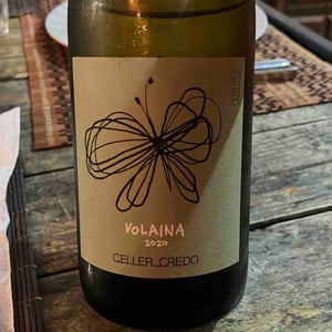 Volaina - Celler Credo - ton-mata-moliner -2018