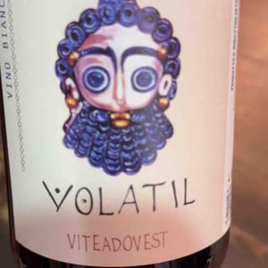 Volatil - Viteadovest - vincenzo-angileri-qu