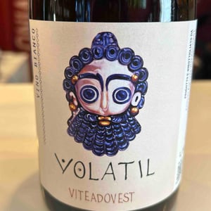 Volatil - Viteadovest - vincenzo-angileri-qu