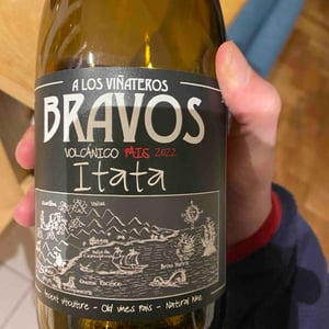 Volcánico País - A Los Viñateros Bravos / Onda Brava - Leonardo Erazo 