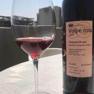 Volpe Rosa - Cantina Giardino - Antonio Di Gruttola & Daniela De Gruttola 