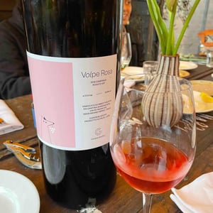 Cantina Giardino - Antonio Di Gruttola & Daniela De Gruttola - Volpe Rosa