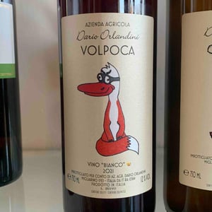 Volpoca - Azienda Agricola Dario Orlandini - Dario Orlandini 