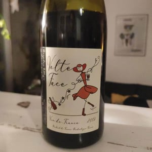 Volte Face - France Gonzalvez - Beaujolais (CLOSED) - france-gonzalvez-7n