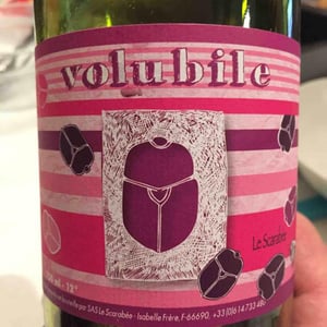Volubile - Le Scarabée - Isabelle Frère 