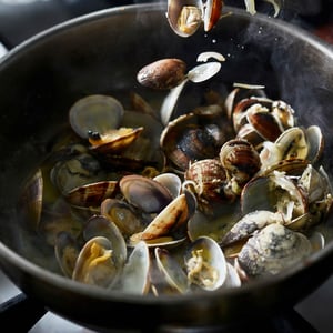 Vongolé - Bleu Nuit - 652392