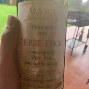 Vorbourg Pinot Gris Macération - Domaine Pierre Frick - Jean-Pierre, Chantal et Thomas Frick 