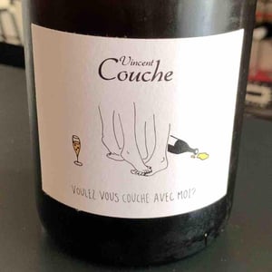 Voulez vous couche avec moi? - Vincent Couche - vincent-couche