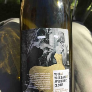 Voulez-Vous Gamay Avec Moi, Ce Soir - Domaine des Grottes - romain-des-grottes