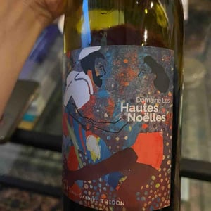 Voulez-Vous Gamay Avec Moi ? - Domaine Les Hautes-Noëlles - jean-gabriel-juliane-tridon