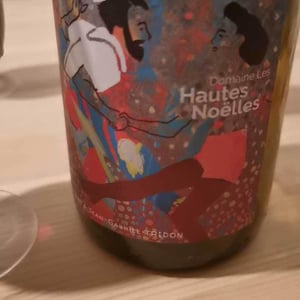 Voulez-Vous Gamay Avec Moi ? - Domaine Les Hautes-Noëlles - jean-gabriel-juliane-tridon