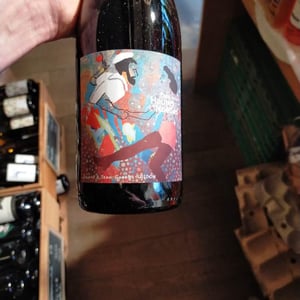 Voulez-Vous Gamay Avec Moi ? - Domaine Les Hautes-Noëlles - jean-gabriel-juliane-tridon