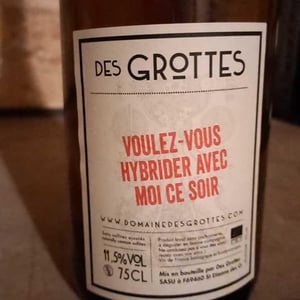 Voulez Vous Hybrider Avec Moi Ce Soir - Domaine des Grottes - romain-des-grottes -2021