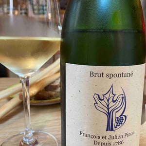 Vouvray brut spontané - Vouvray - francois-julien-pinon