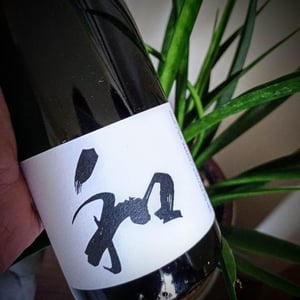 Wa Sud - Kohki Iwata - WA
