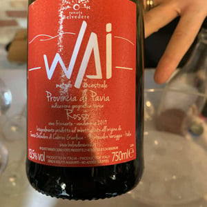 Wai Rosso 2017 - Tenuta Belvedere - Gianluca Cabrini 