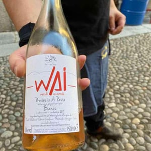 Tenuta Belvedere - Gianluca Cabrini - WAI Bianco