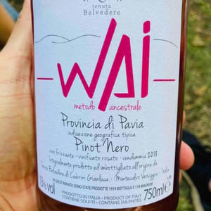 Wai Pinot Nero - Tenuta Belvedere - gianluca-cabrini