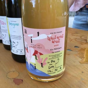 Du Vin Aux Liens - Vanessa Letort - Wait wait wait
