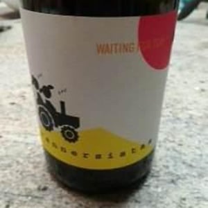 Rennersistas - Stefanie & Georg Renner - Waiting For Tom