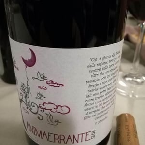 AnimaErrante 2015
