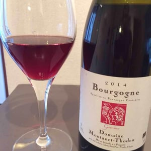 Domaine Montanet-Thoden - Valentin Montanet & Tom Thoden - Garance