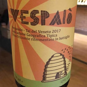 Vespaiò - Il Moralizzatore - enrico-frisone-andrea-dalla-grana