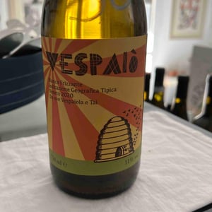Vespaiò - Il Moralizzatore - enrico-frisone-andrea-dalla-grana