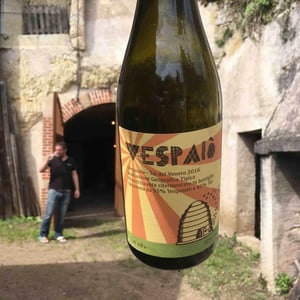 Vespaiò