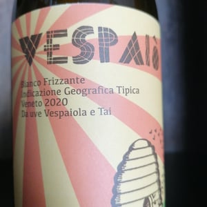 Vespaiò - Il Moralizzatore - enrico-frisone-andrea-dalla-grana