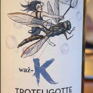 Waz-K - Clos Troteligotte - Emmanuel Rybinski 