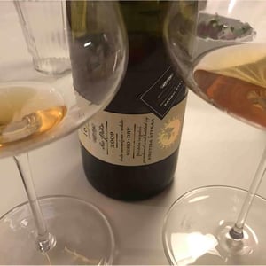 Re Piko 2009