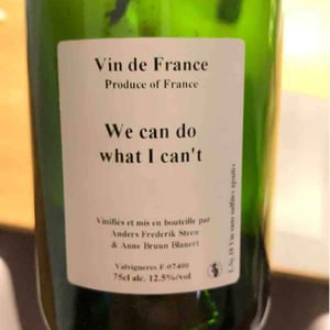 We can do what I can't - Anders Frederik Steen & Anne Bruun Blauert - Anders Frederik Steen & Anne Bruun Blauert 