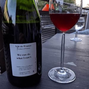 We can do what I can't - Anders Frederik Steen & Anne Bruun Blauert - anders-frederik-steen-anne-bruun-blauert