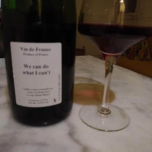 We can do what I can't - Anders Frederik Steen & Anne Bruun Blauert - Anders Frederik Steen & Anne Bruun Blauert 