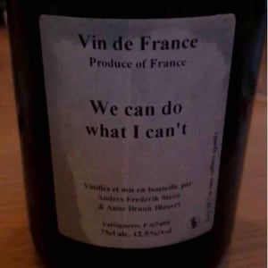 We can do what I can't - Anders Frederik Steen & Anne Bruun Blauert - Anders Frederik Steen & Anne Bruun Blauert 