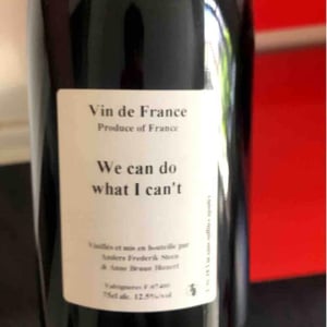 We can do what I can't - Anders Frederik Steen & Anne Bruun Blauert - Anders Frederik Steen & Anne Bruun Blauert 