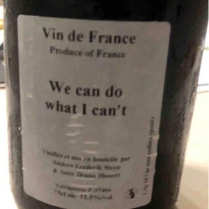 We can do what I can't - Anders Frederik Steen & Anne Bruun Blauert - anders-frederik-steen-anne-bruun-blauert