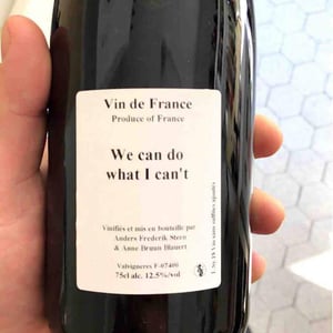 Anders Frederik Steen & Anne Bruun Blauert - Anders Frederik Steen & Anne Bruun Blauert - We can do what I can't