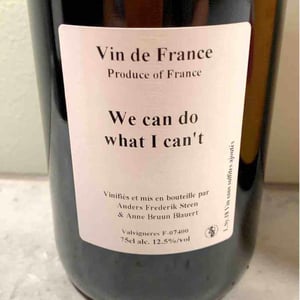 We can do what I can't - Anders Frederik Steen & Anne Bruun Blauert - anders-frederik-steen-anne-bruun-blauert