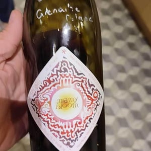 Mamy Bloom - Clos Massotte - Pierre Nicolas Massotte -2021