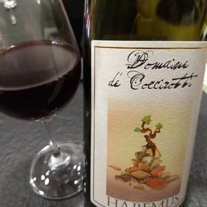 Domaine di Coccirotti Habemus - La Ginestra - Dario Nocci, Alessandro Bicchi & Matteo Rinaldi 