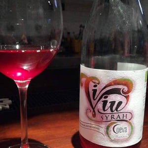 Bodegas Cueva - Mariano Taberner - Vi Viu Syrah