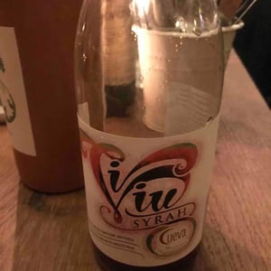 Vi Viu Syrah - Bodegas Cueva - Mariano Taberner 