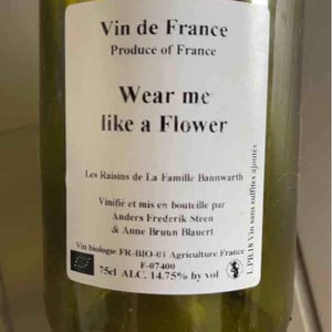 Wear me like a flower - Anders Frederik Steen & Anne Bruun Blauert - Anders Frederik Steen & Anne Bruun Blauert -2018