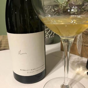 Weißburgunder ErDELuftGRAsundreBEN - Weingut Claus Preisinger - claus-preisinger